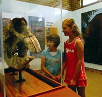 Australian Museum Diprotodon Exhibition - Tweed Heads Accommodation