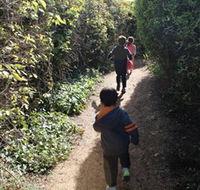 The Tangled Maze  Mistydowns Nursery - Tweed Heads Accommodation
