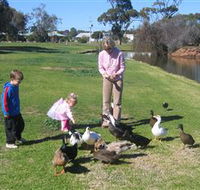 Roy Little Park Merredin - Tweed Heads Accommodation