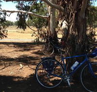 Murchison Rail Trail - Tweed Heads Accommodation