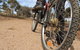 Tamma Parkland - thumb 1