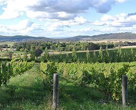Sassy Wines - Tweed Heads Accommodation 0