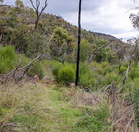 Lynchs loop trail - Tweed Heads Accommodation