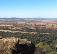 Basin Gully to Eualdrie lookout track - Tweed Heads Accommodation