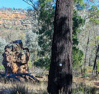 Eualdrie walking track - Tweed Heads Accommodation