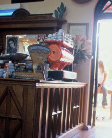 Cactus Cafe And Gallery - Tweed Heads Accommodation 1