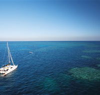 Bait Reef and Garys Lagoon Dive Site - Tweed Heads Accommodation