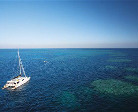 Bait Reef And Garys Lagoon Dive Site - Tweed Heads Accommodation 0