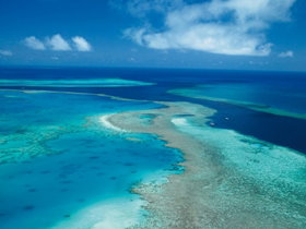 Fairey Reef - Tweed Heads Accommodation 2