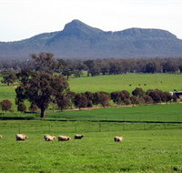 The Rock Nature Reserve - Tweed Heads Accommodation
