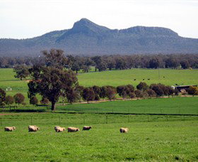 The Rock Nature Reserve - Tweed Heads Accommodation 0