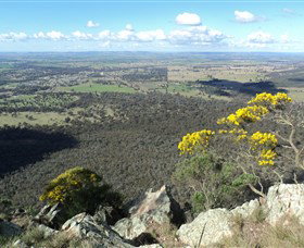 The Rock Nature Reserve - Tweed Heads Accommodation 4