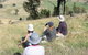 The Rock Nature Reserve - thumb 2
