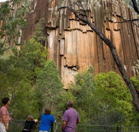 Sawn Rocks walking track - Tweed Heads Accommodation