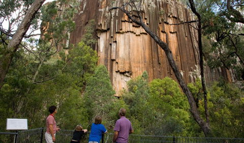 Sawn Rocks Walking Track - Tweed Heads Accommodation 0