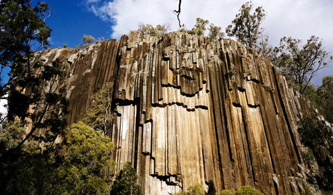 Sawn Rocks Walking Track - Tweed Heads Accommodation 1