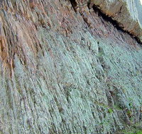 The Rock Nature Reserve - Kengal Aboriginal Place - Tweed Heads Accommodation