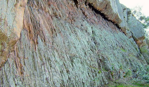 The Rock Nature Reserve - Kengal Aboriginal Place - Tweed Heads Accommodation 0
