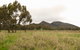 The Rock Nature Reserve - Kengal Aboriginal Place - thumb 2