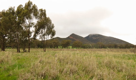 The Rock Nature Reserve - Kengal Aboriginal Place - Tweed Heads Accommodation 2