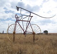 Animals on Bikes - Tweed Heads Accommodation