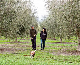Wollundry Grove Olives - Tweed Heads Accommodation 3