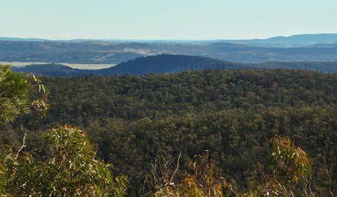 Conimbla National Park - Tweed Heads Accommodation 1
