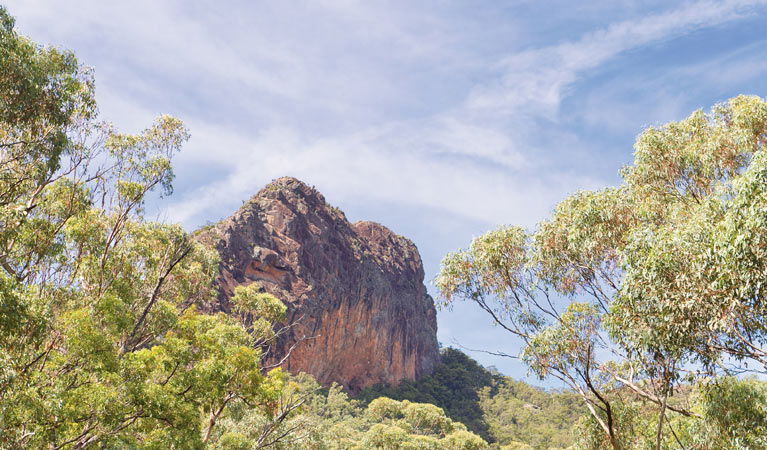 Bullawa Creek NSW Tweed Heads Accommodation
