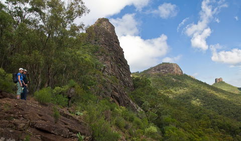 Yulludunida Walking Track - Tweed Heads Accommodation 1