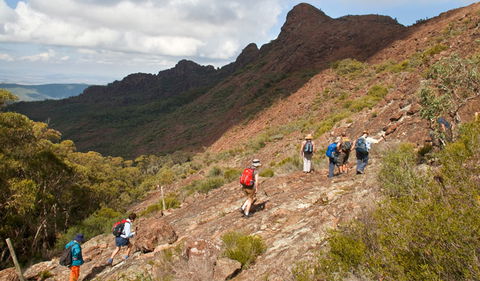 Yulludunida Walking Track - Tweed Heads Accommodation 2