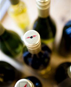 Charles Sturt University Winery Wagga Wagga - Tweed Heads Accommodation 2