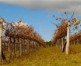 Charles Sturt University Winery Wagga Wagga - Tweed Heads Accommodation 3