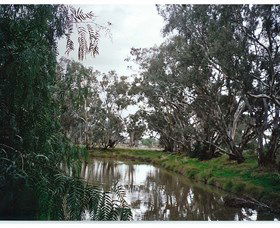 Ryan NSW Tweed Heads Accommodation