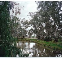 Henty Government Dam Nature Reserve - Tweed Heads Accommodation