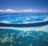 Hardy Reef - Tweed Heads Accommodation