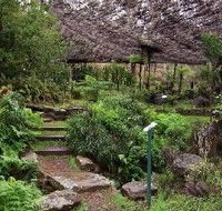 Burrendong Botanic Garden and Arboretum - Tweed Heads Accommodation