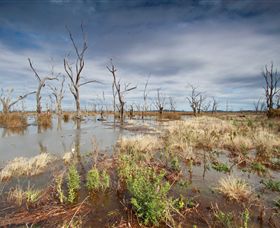 Winton Wetlands Reserve - Tweed Heads Accommodation 4