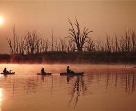 Winton Wetlands Reserve - Tweed Heads Accommodation 7