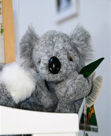 Timboon West VIC Tweed Heads Accommodation
