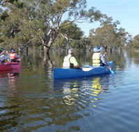 Doodle Cooma Swamp - Tweed Heads Accommodation