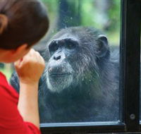 The Rockhampton Zoo - Tweed Heads Accommodation