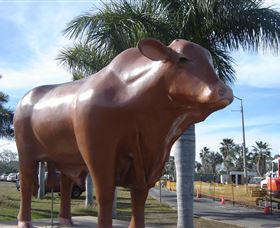 Rockhampton Bull Statues - Tweed Heads Accommodation 3
