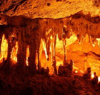 Capricorn Caves - Tweed Heads Accommodation