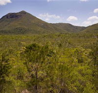 Kutini-Payamu Iron Range National Park CYPAL - Tweed Heads Accommodation