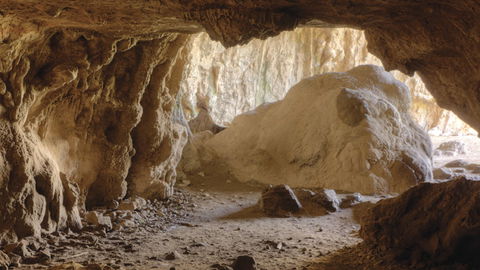 Borenore Karst Conservation Reserve - Tweed Heads Accommodation 1