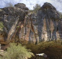 Borenore Karst Conservation Reserve - Tweed Heads Accommodation
