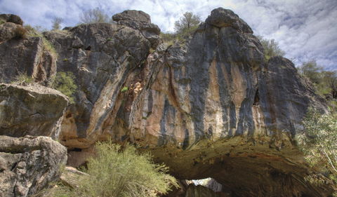 Borenore Karst Conservation Reserve - Tweed Heads Accommodation 0