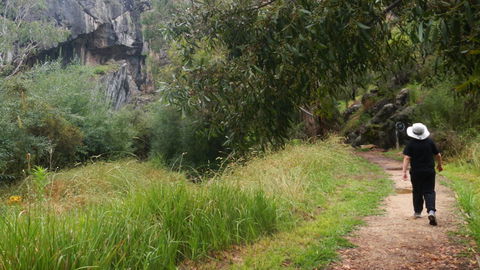 Borenore Karst Conservation Reserve - Tweed Heads Accommodation 3