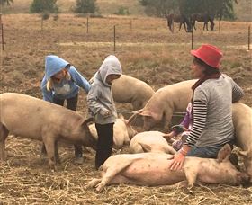 Springview Eco-Farm - Tweed Heads Accommodation 2