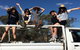 Springview Eco-Farm - thumb 1